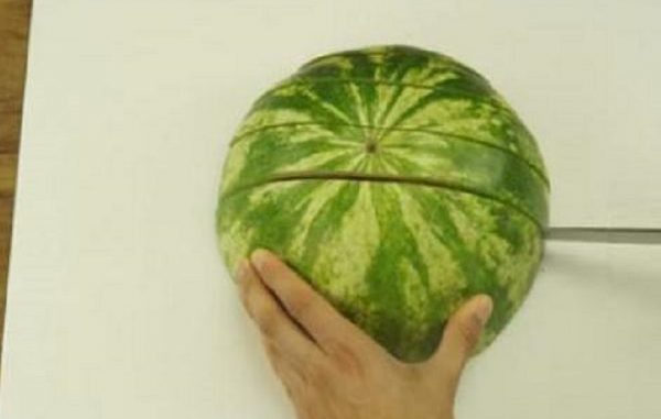 titmelon-1-600x460