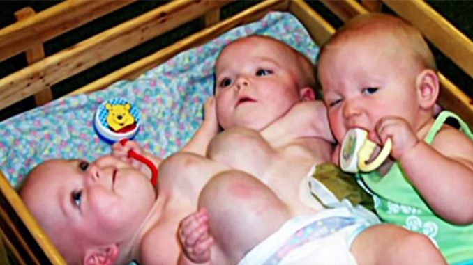 worlds-rarest-triplets-01