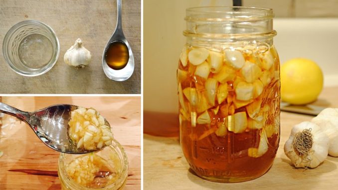 hemjaypostdotcom-honey-and-garlic