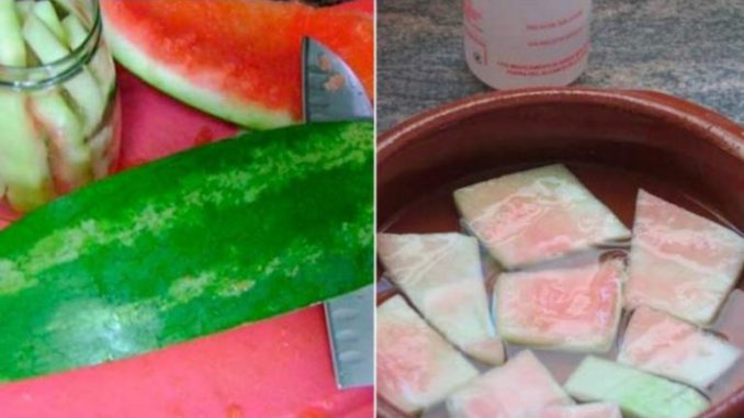 watermellon-shell